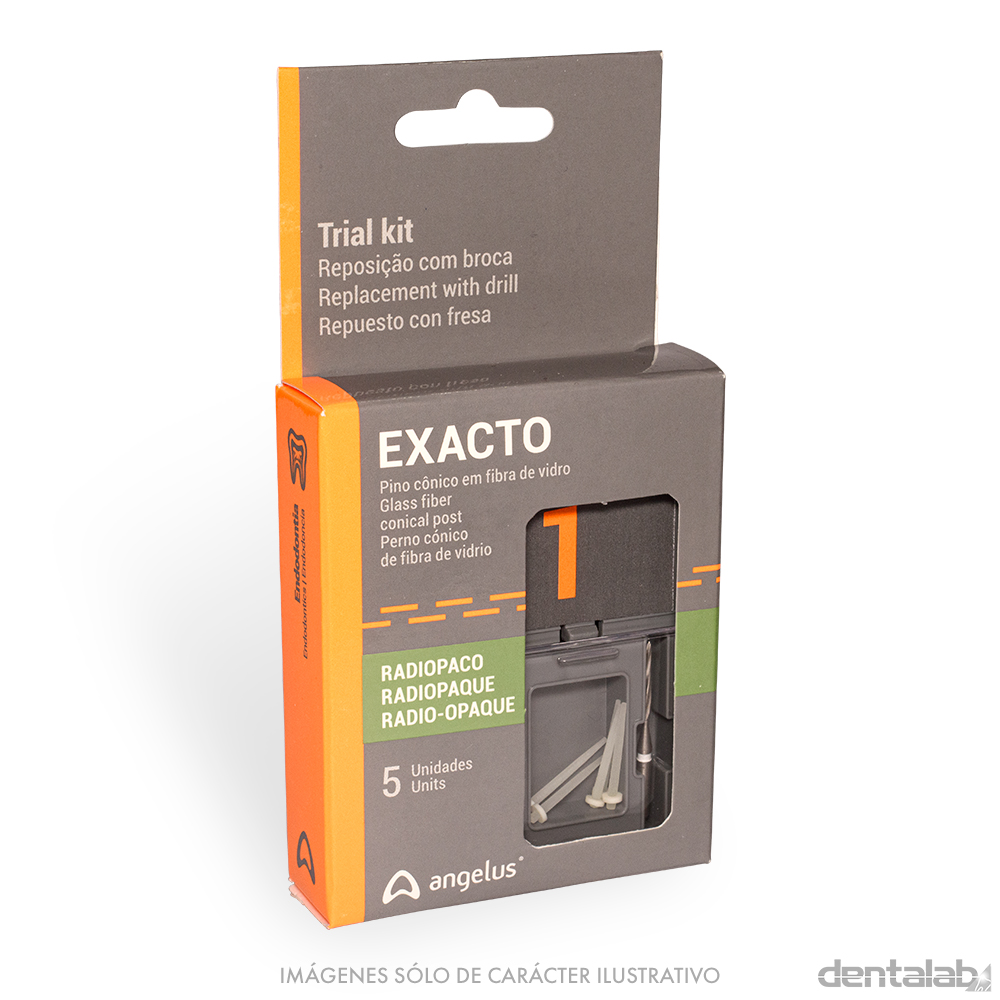 Trial Kit N°1 Postes Cónicos de Fibra de Vidrio + Fresa EXACTO Angelus (5u + 1 fresa)
