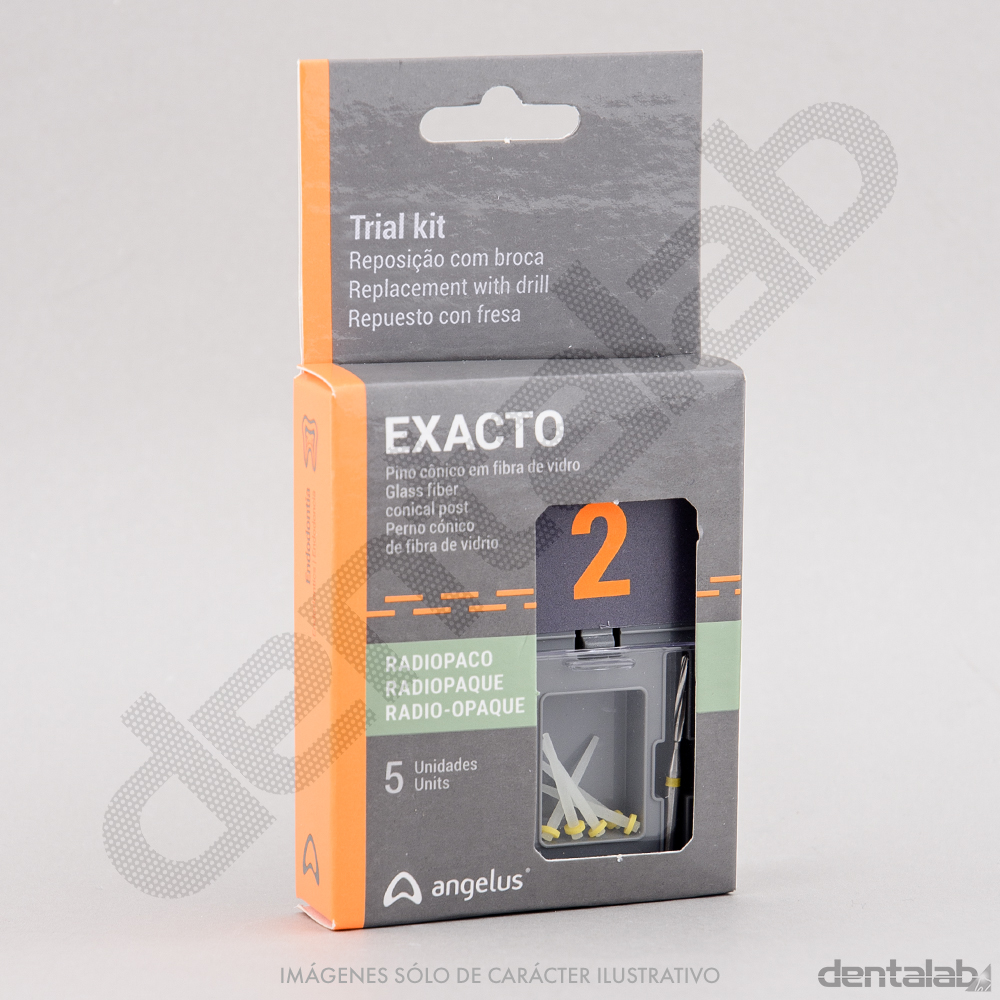 Trial Kit N°2 Postes Cónicos de Fibra de Vidrio + Fresa EXACTO Angelus (5u + 1 fresa)