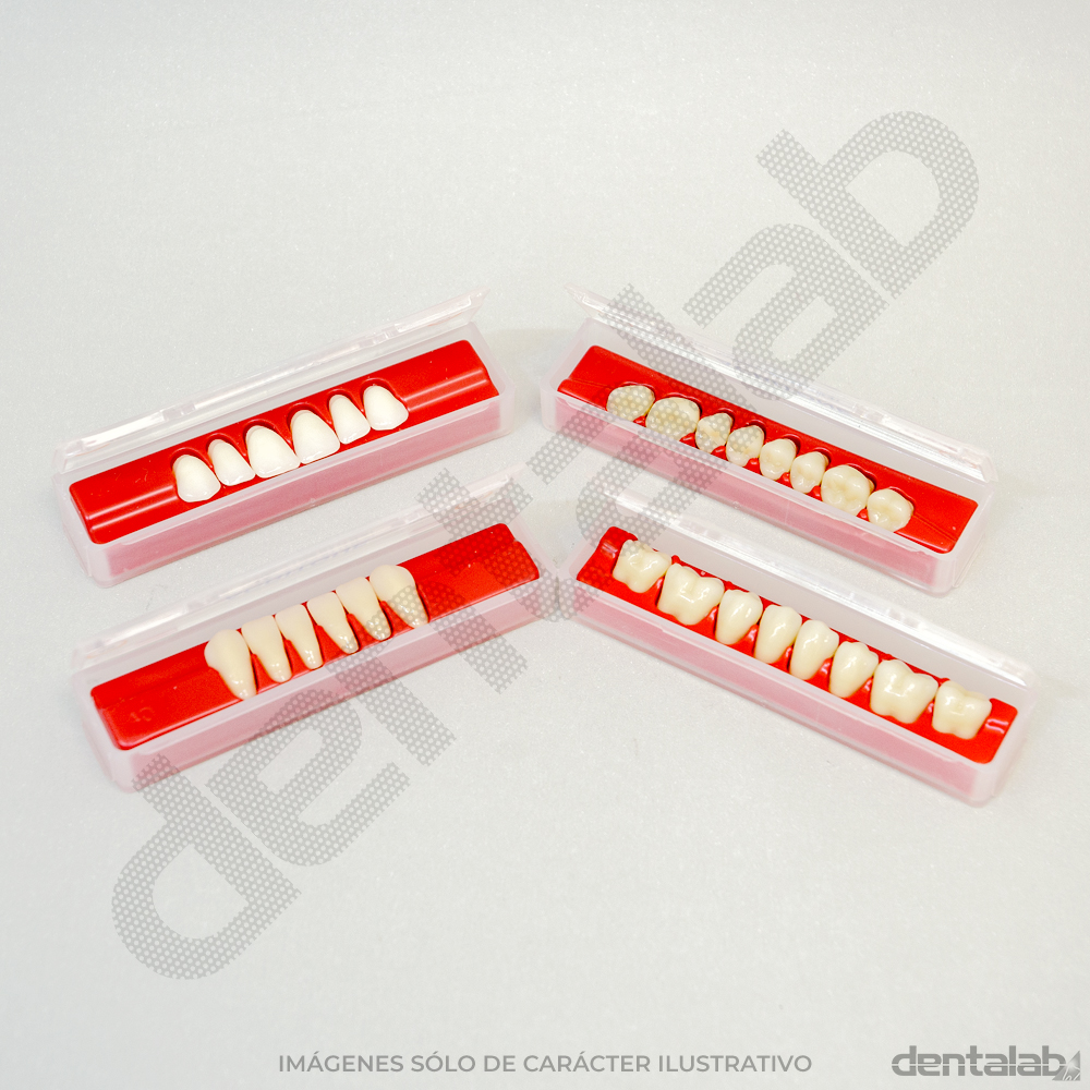 Dientes ACRITONE (LEER DESCRIPCIÓN)