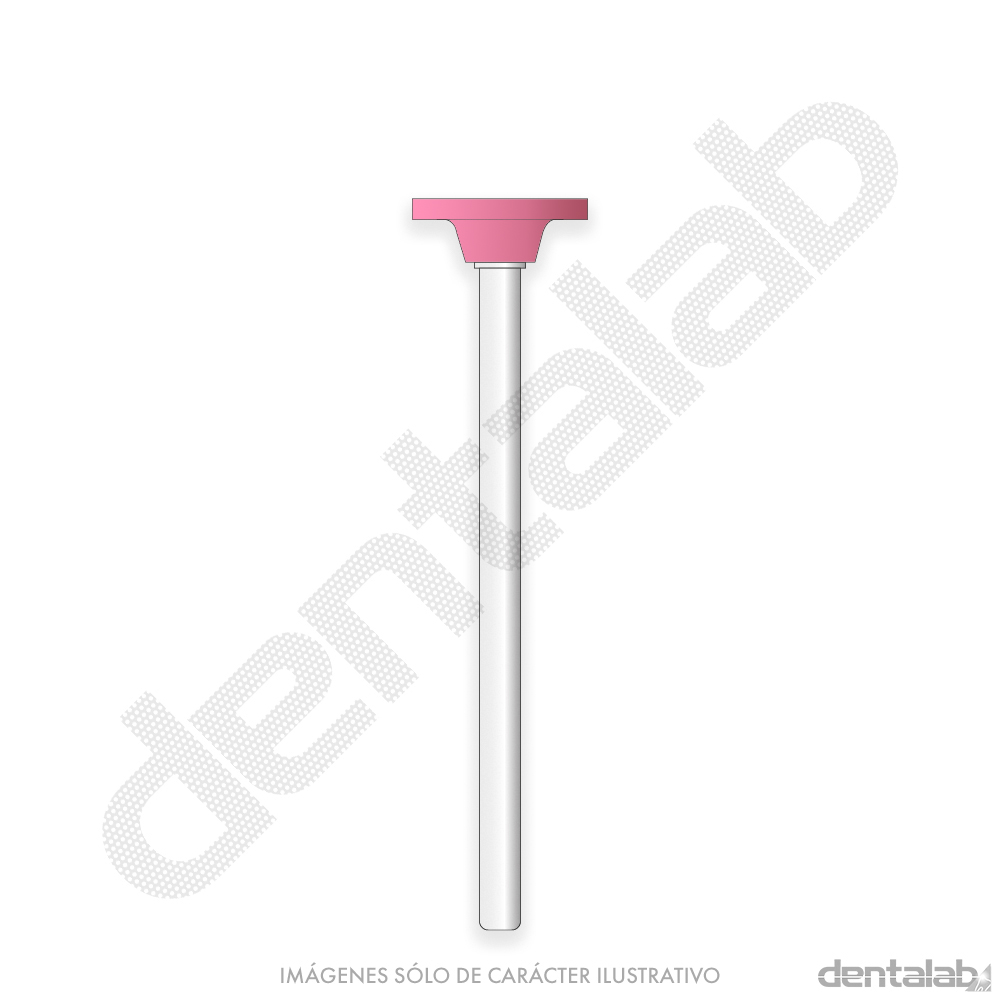 Piedra Roja F113 Disco para Cromo Easydent x Unidad